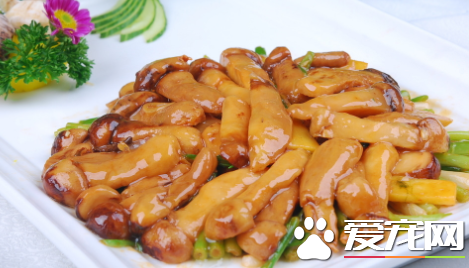 松茸为什么那么贵 姬松茸是松茸吗