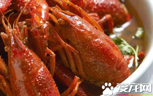 吃麻辣小龙虾上火吗 吃小龙虾上火怎么办