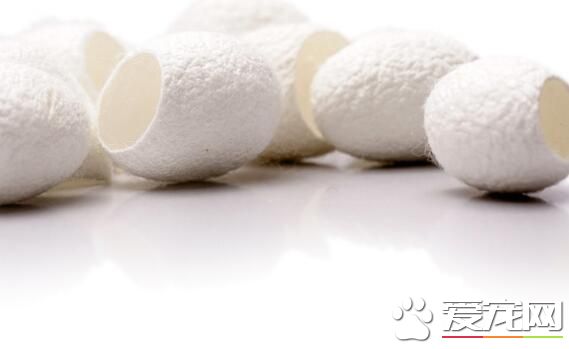 蚕茧多少钱一斤2017 2017年蚕茧价格是多少