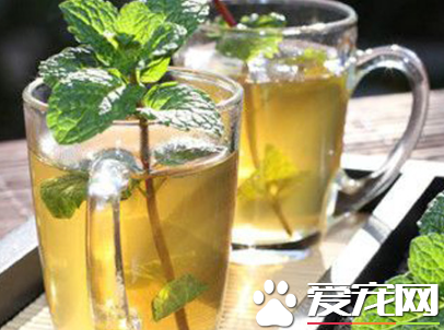 夏天喝什么凉茶解暑 夏天适合喝哪些凉茶