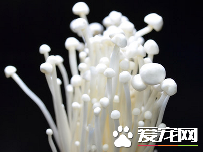 金针菇的热量高吗 吃金针菇会发胖吗