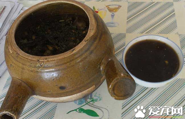 喝中药有哪些禁忌 具体注意事项须知