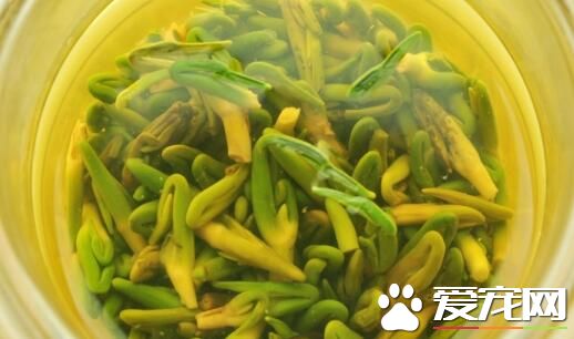 莲子心茶可以长期喝吗 天天喝莲心茶有什么坏处