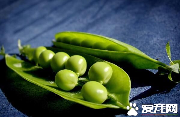 豌豆吃多了会怎样 豌豆吃多了会胖吗