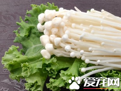 金针菇的热量高吗 吃金针菇会发胖吗