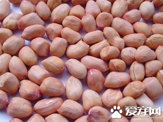 花生米上的膜可以吃吗 花生衣的功效与作用