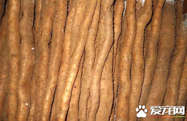 山药和土豆能一起吃吗 山药不能和什么一起吃