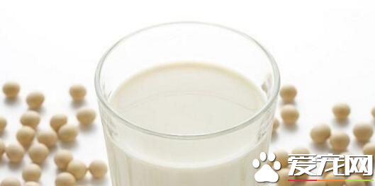 每天喝豆浆能美白吗 为什么喝豆浆能美白