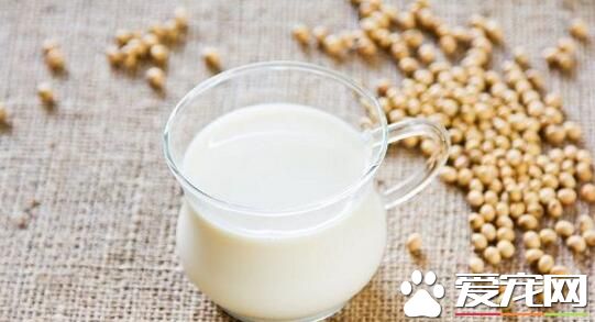 每天喝豆浆能美白吗 为什么喝豆浆能美白