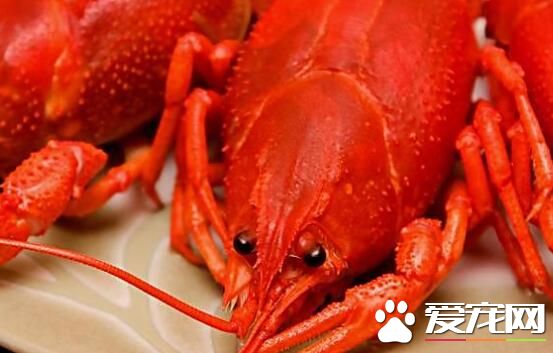 吃麻辣小龙虾上火吗 吃小龙虾上火怎么办