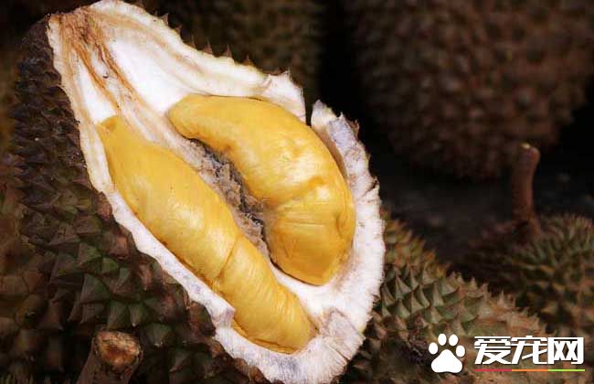 榴莲和虾能一起吃吗 榴莲有那些食用禁忌