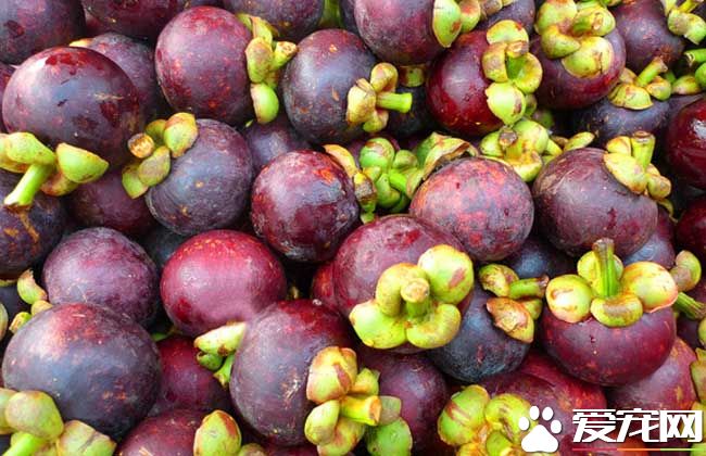 哺乳期能吃山竹吗 吃山竹有什么好处