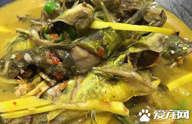 孕妇能吃黄骨鱼吗 孕妇吃黄骨鱼的好处