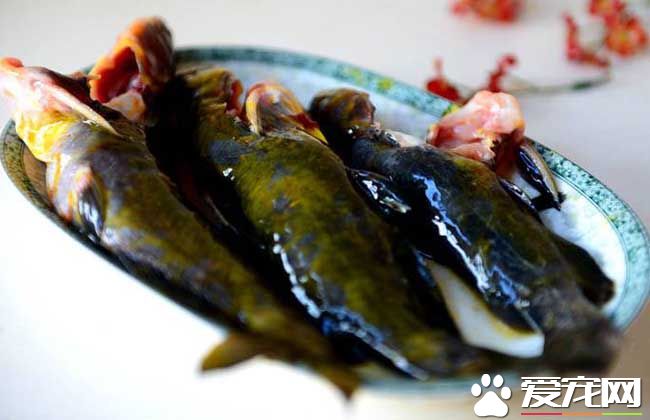 孕妇能吃黄骨鱼吗 孕妇吃黄骨鱼的好处