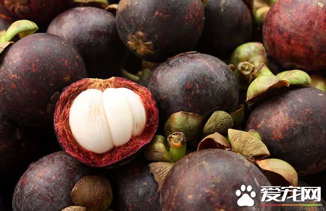 哺乳期能吃山竹吗 吃山竹有什么好处