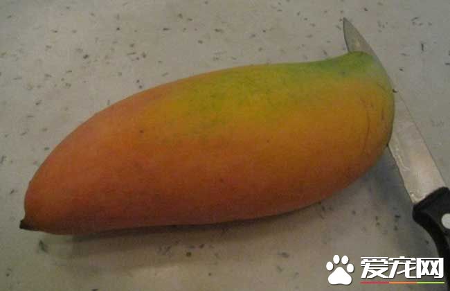 芒果和酸奶能一起吃吗 芒果不能和什么一起吃