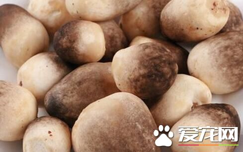 草菇多少钱一斤2017 新鲜草菇怎么保存