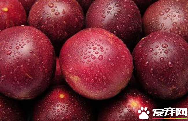 百香果皮的功效与作用 百香果的果皮可以吃吗