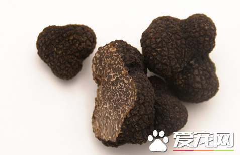 松露菌和松茸菌哪个更贵 松茸和松露有什么区别