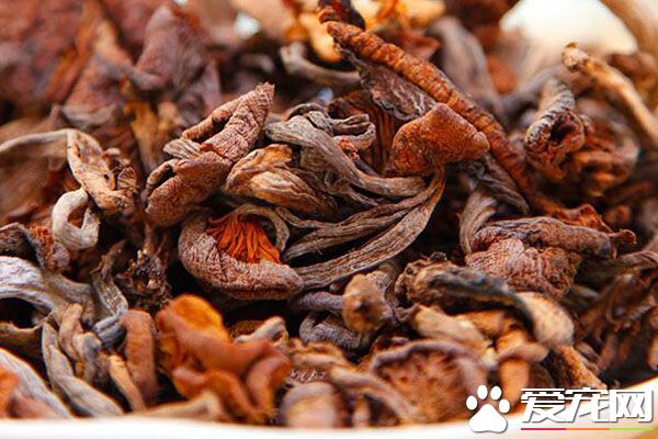 榛蘑怎么洗干净 东北野生榛蘑的营养价值与功效