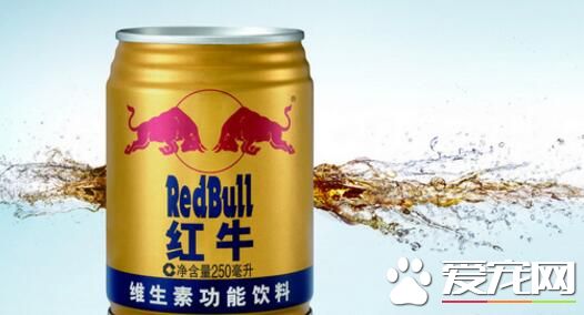 红牛是什么饮料 晚上能喝红牛吗