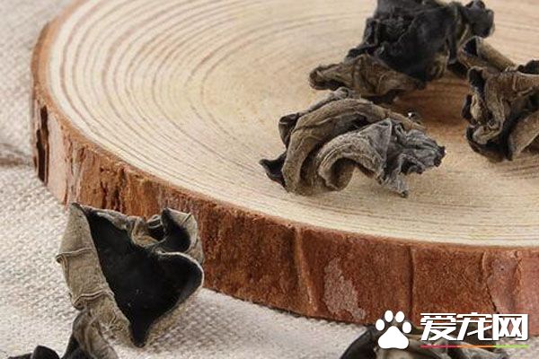 石耳的食用禁忌 石耳的做法