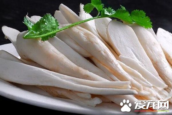 鸡腿菇的功效与作用 鸡腿菇的营养价值