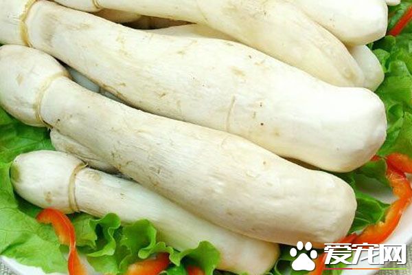 鸡腿菇的适宜人群 鸡腿菇的做法大全