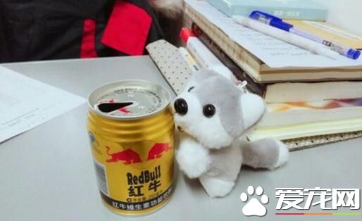 红牛是什么饮料 晚上能喝红牛吗