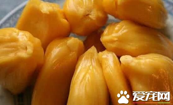 木菠萝吃多了会怎样 木菠萝有什么功效