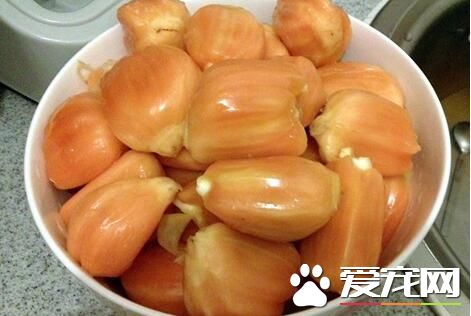 红肉菠萝蜜的果实怎么吃 红肉菠萝蜜的核可以吃吗