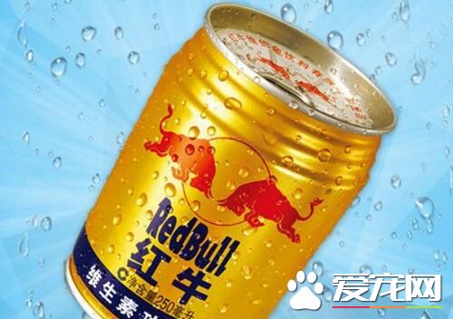 喝红牛能提神吗 红牛能提神醒脑多久