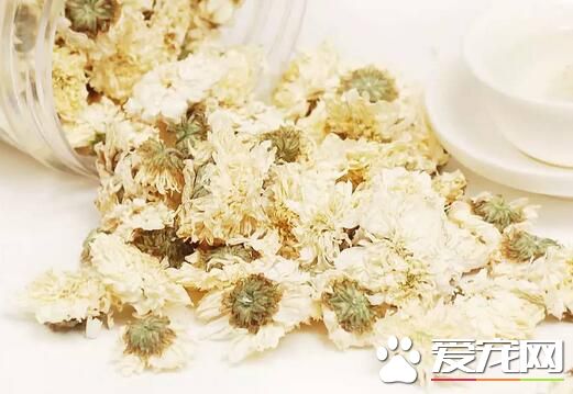 菊花茶受潮了还能喝吗 菊花茶的保存方式是什么