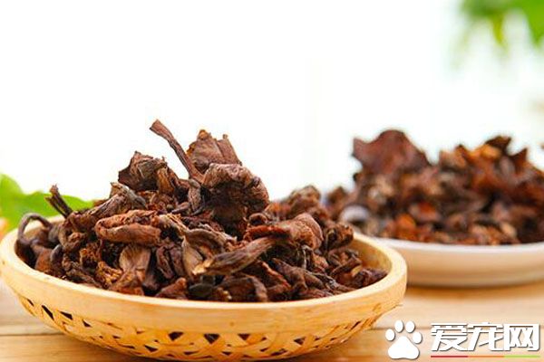 东北榛蘑多少钱一斤 吃榛蘑有什么好处