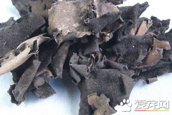 石耳的食用禁忌 石耳的做法