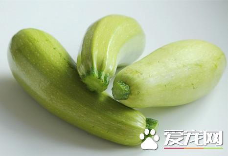 西葫芦变软了还能吃吗 西葫芦为什么会变软