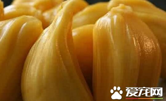 木菠萝是菠萝蜜吗 木菠萝的浆怎么洗