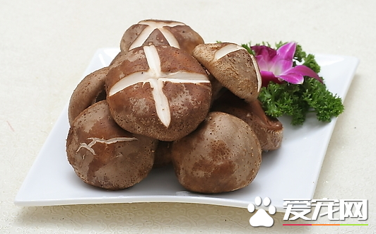 香菇可以生吃吗 香菇发红了还能吃吗