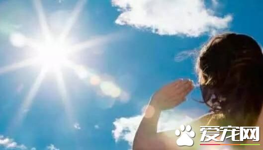 三伏天头伏吃什么好 这些食物多吃对身体有益