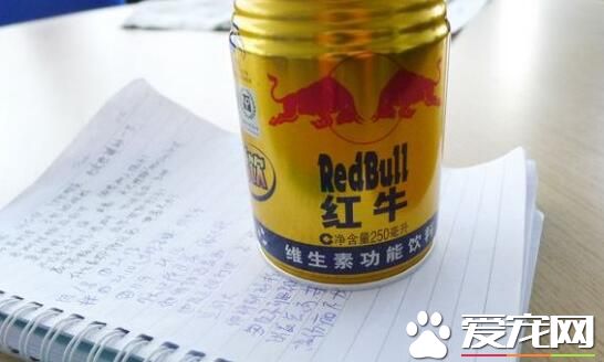 红牛喝了多久会起效 红牛能提神多久