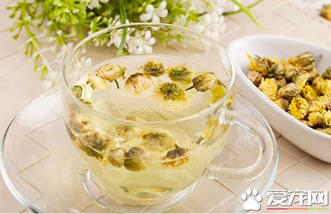 菊花茶是白的好还是黄的好 菊花茶保质期多久