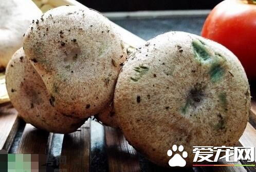 2017重阳菌多少钱一斤 怎么清洗干净