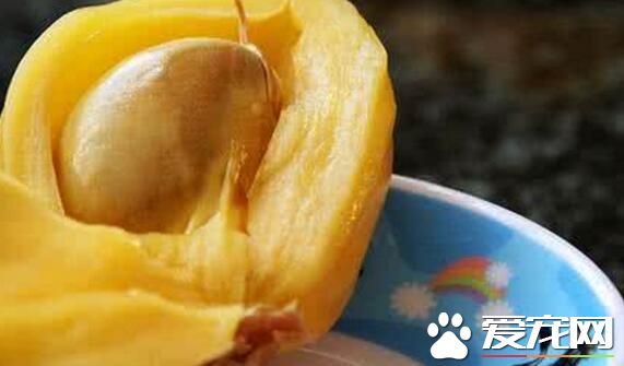 木菠萝吃多了会怎样 木菠萝有什么功效