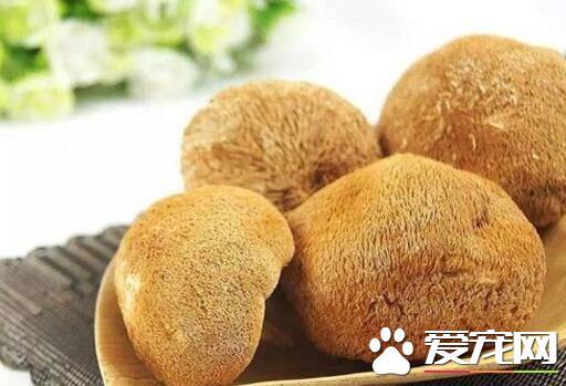 猴头菇是苦的吗 猴头菇怎么去苦味