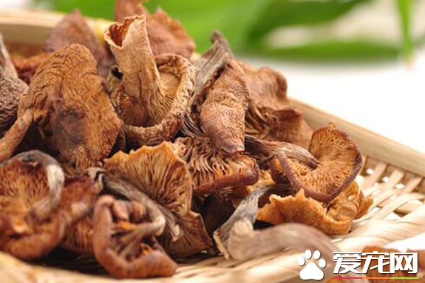 东北榛蘑多少钱一斤 吃榛蘑有什么好处