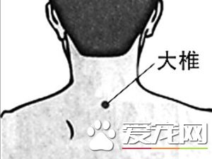 三伏贴鼻炎贴什么位置 贴哪些穴位可以治疗鼻炎