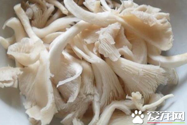 哪些人不能吃凤尾菇 凤尾菇的做法