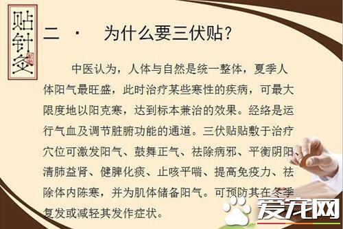 贴三伏贴挂什么科 三伏贴挂什么号