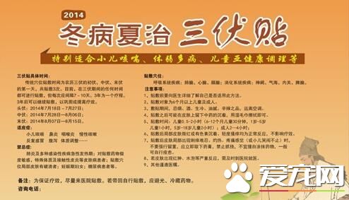 贴三伏贴挂什么科 三伏贴挂什么号