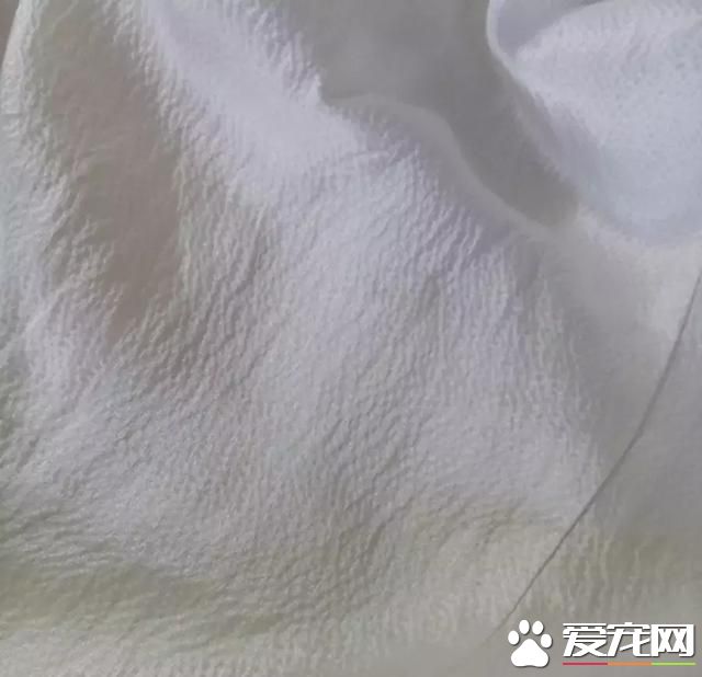 真丝和桑蚕丝到底有什么区别？